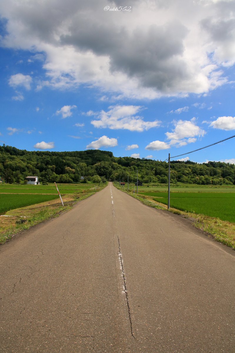 ukk562's tweet photo. 森の中に吸い込まれる道路
北海道感ある(*˙︶˙*)ノ゙
#ファインダー越しの私の世界
#写真好きな人と繋がりたい
#photography #hokkaido
#562camera https://t.co/vOAkwfoj2Q