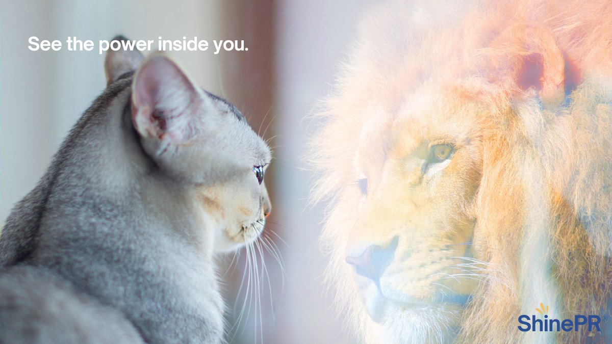 ShinePR_LLC's tweet photo. Purpose begins on the inside.
#brandimage #shinepr #purposefulbrands https://t.co/zAZIdkFoK3