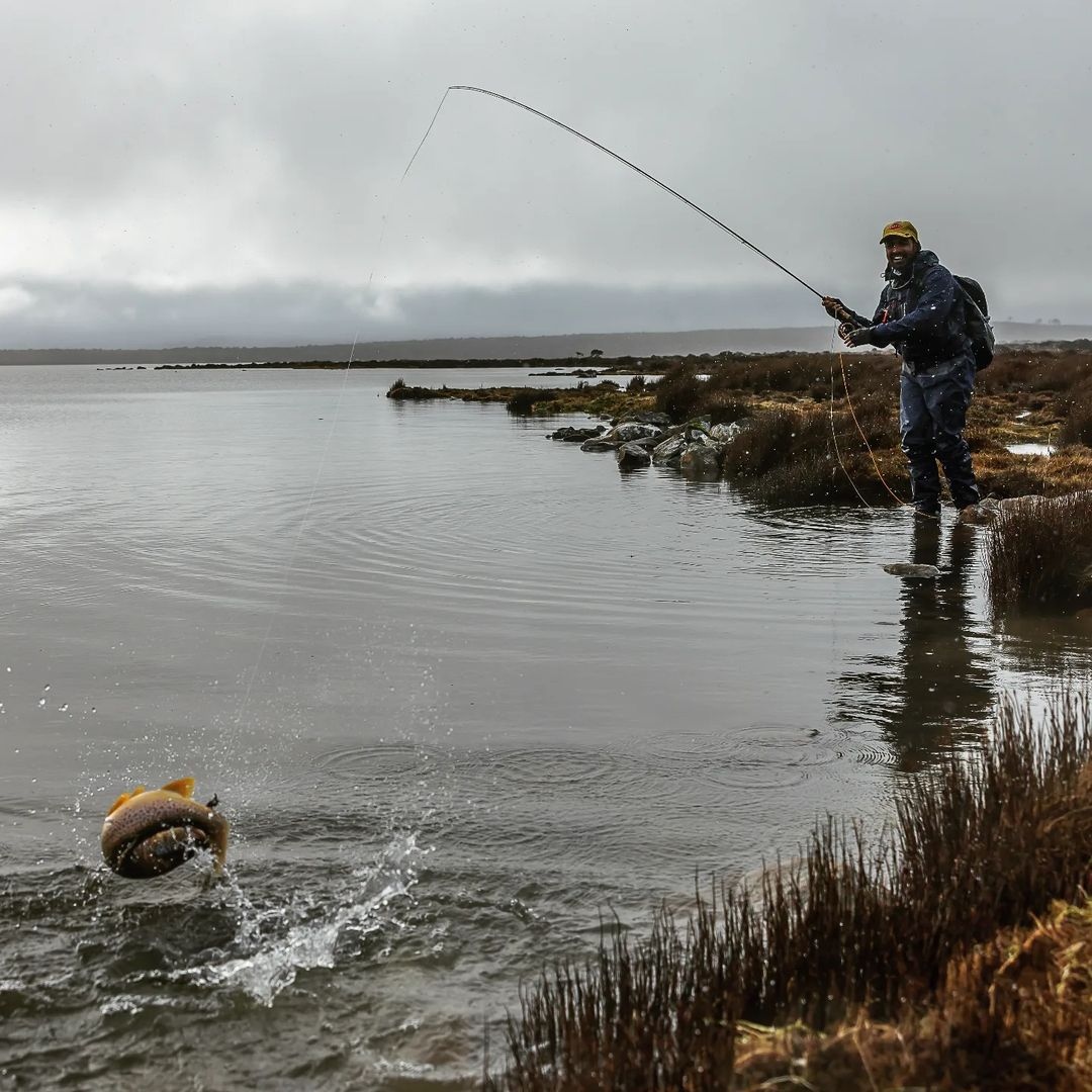 MidCurrent's tweet photo. "Imran kicking off the 22/23 Tassie trout season in style." // image by Peter Broomhall @merseyfly
.
.
.
.
#flyfishaustralia #flyfishtasmania #downunder #flyfishdownunder #flyfishing #trout #fisheater #predatorprey #browntroutflyfishing #australia #tasmania #aussieflyfisher https://t.co/TsALknXofY