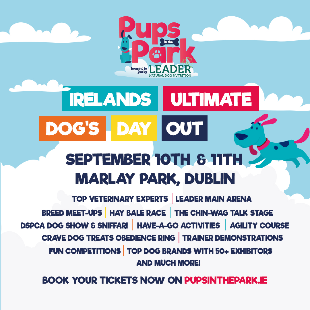 Dún Laoghaire-Rathdown County Council tweet media