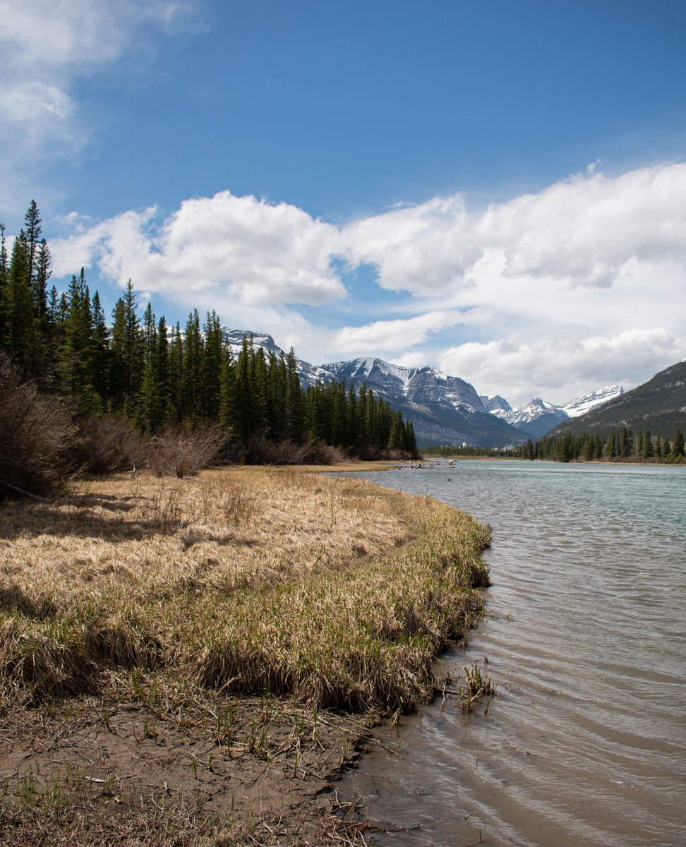 Find us outside soaking up the sun ☀️

📍Canmore AB
📸 Nicole T

#visitcanmore #canmorealberta #canmorelife #explorecanmore #kananaskis #canmorekananaskis #albertarockies #canmoreab #canadianrockies #explorealberta #travelalberta