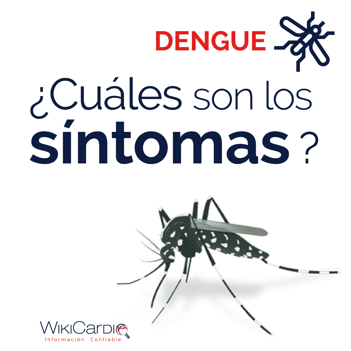 Wiki_Cardio's tweet photo. ¿Cuales son los síntomas? 
👉 Fiebre
👉 Dolores articulares y musculares
👉 Decaimiento general
👉 Dolores de cabeza
👉Erupciones
👉Náuseas

📌Acudíi al médico y no te automediques https://t.co/AqhpdXipW6