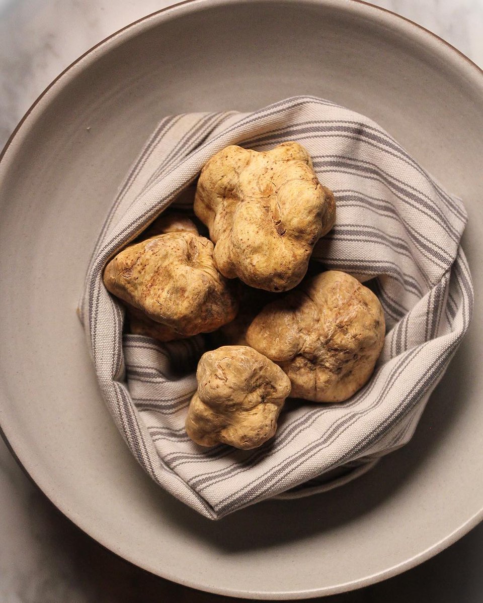 AmericanTruffle's tweet photo. Traveling to Chicago this fall? Check out these restaurants &amp; get your fill of truffle dishes:

🍽️ @BokaChicago 
🍽️ Joe's Wine Imports
🍽️ @BarKumiko 
🍽️ Kikko
🍽️ @BLVDchicago 
🍽️ @edeninchicago 
🍽️ Smyth
🍽️ @elskerestaurant 

https://t.co/FWcKhmL0Qq #AmericanTruffleCompany® https://t.co/CXuJ1PRRZj