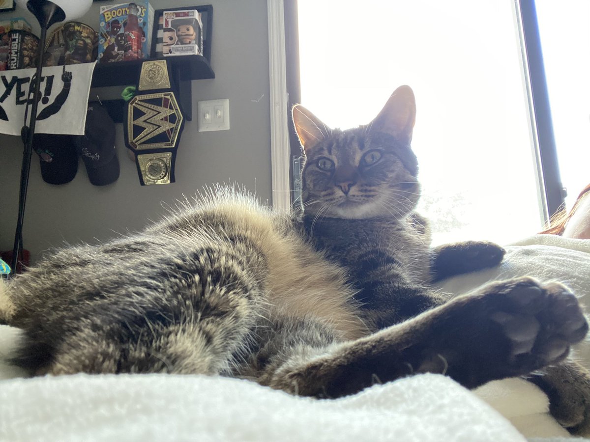 i have just ben a vary hamsom bboy