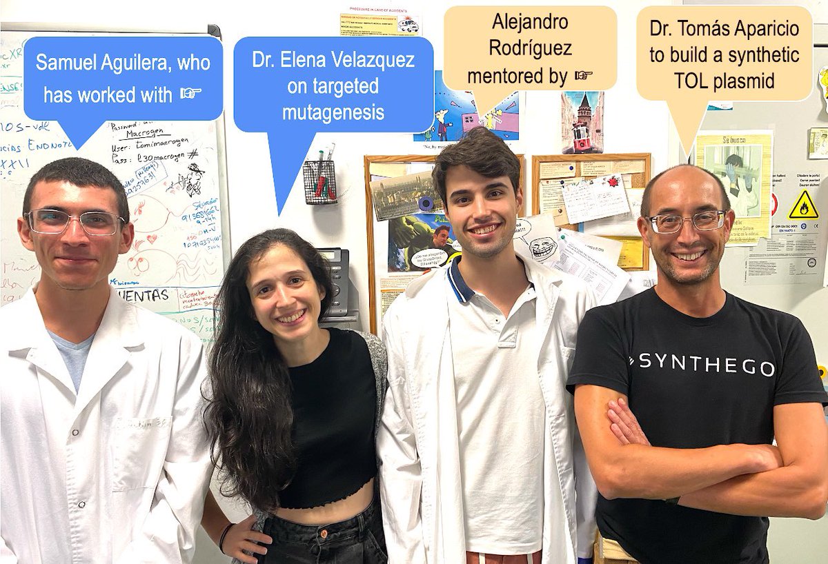 vdlorenzo_CNB's tweet photo. Summer &amp; undergrad students always bring good vibes to the Lab. It is difficult not to enjoy their awe and excitement when they get into actual experiments—let alone when they even work! The ones we hosted this year (with labcoat!) were truly exceptional, we will miss them sorely https://t.co/IMACeutDJd