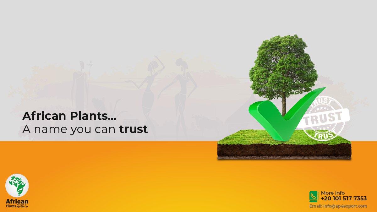 AfricanPlants1's tweet photo. African Plants is a name you can Trust and Rely on, where:
 
-Our Plants are Organically Grown.
-We adhere to the delivery dates of shipments.
-We Comply with the European Specifications.
 
Contact us now to ensure a supply of high quality herbs.
 
#AfricanPlants
#Herbs #Spices https://t.co/gYzuuKZaQj