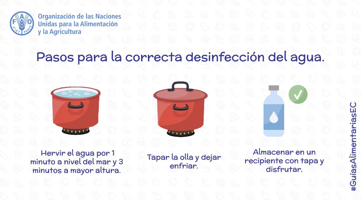 EducaTele's tweet photo. Hervir el agua es la forma mas práctica y común de consumirla de forma segura. Para un correcto tratamiento del agua, se debe llevar a ebullición por 1 minuto al nivel del mar y 3 minutos a mayor altura. ¡No te pierdas las #GuiasAlimentariasEC por #EducaContigo! @FAOEcuador https://t.co/k5K8ew11qJ