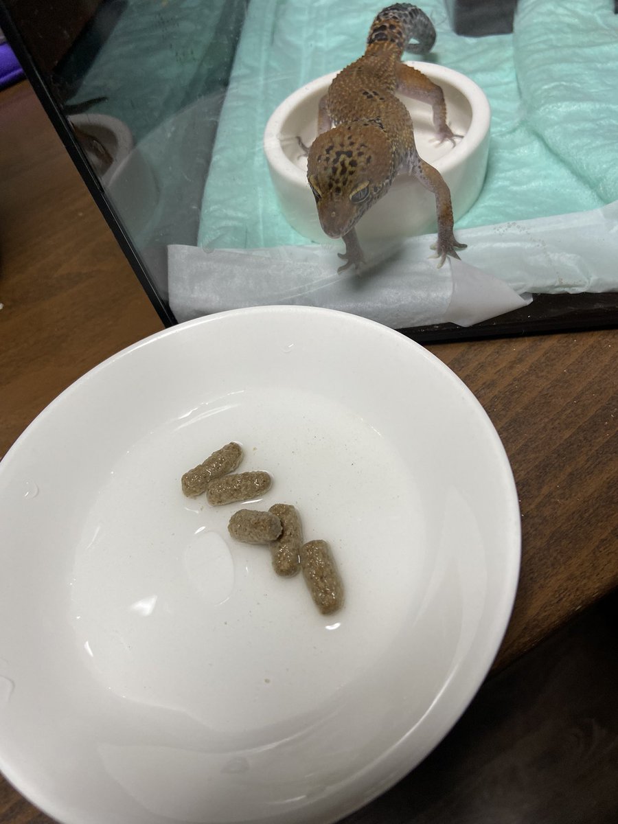 お客様、今ふやかしておりますのでもう少々お待ちください。