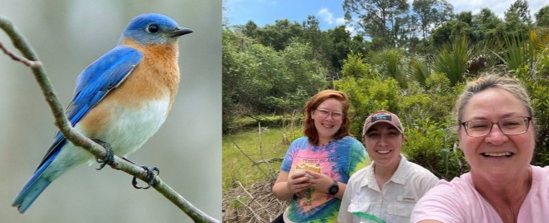 NorthGAScience's tweet photo. Science Cafe on Mon nights once a month at Bourbon Street Grille. Learn science &amp; dine! Reserve your spot today: https://t.co/Nplk9RHCA8
On Sept 19, biologist Jill Schulze will reveal the scandalous lives of bluebirds 😮 https://t.co/2qwZyHKoZ6