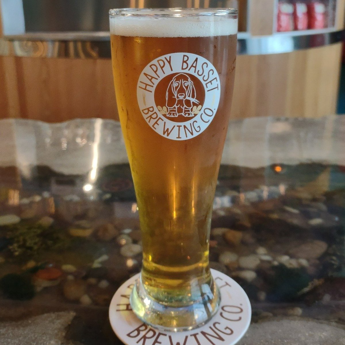 HappyBasset's tweet photo. It's Thirsty Thursday! That means $5 freshly made margaritas! Or you can try our beer of the month, the Rare Breed Wheat! The Chiefs and the Packers will be playing tonight at 7pm! Plus we have cocktails and wine! So come on in and enjoy great drinks and some good ole football! https://t.co/g347lVOrrq