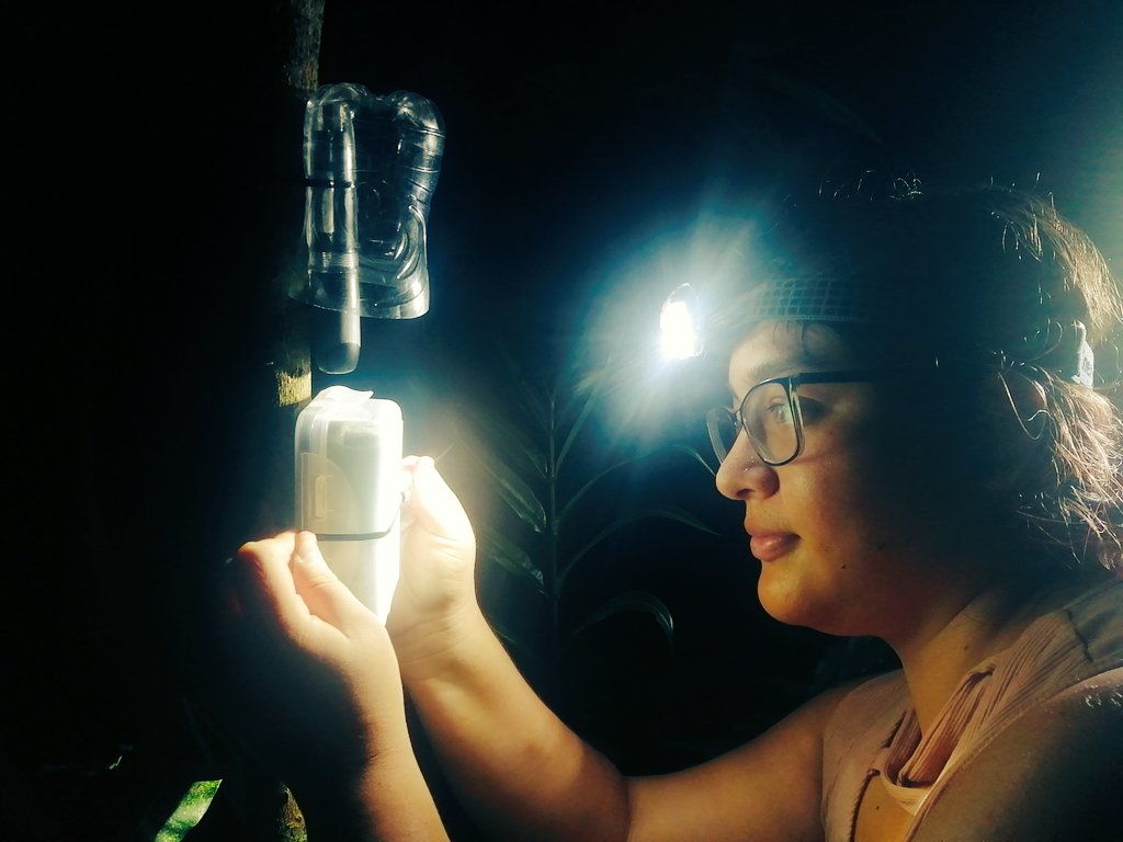 Mauricio Ortega tweet media