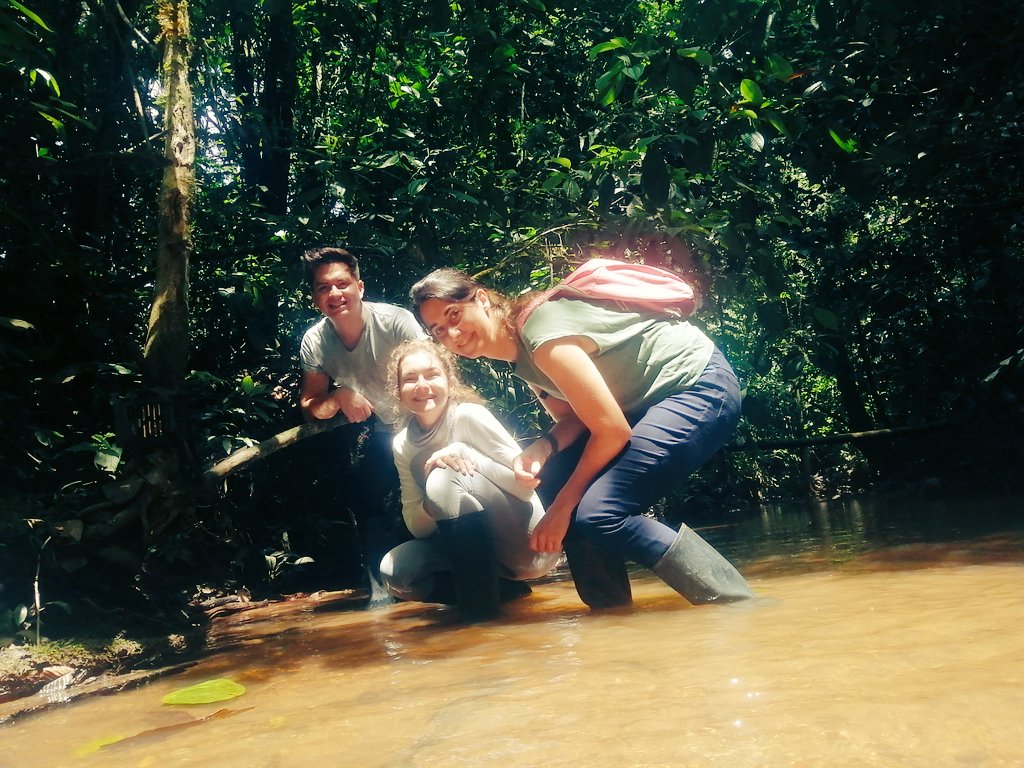 Mauricio Ortega tweet media