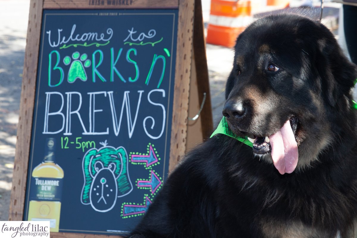 Tangled_Lilac's tweet photo. I'll be roaming at Barks and Brews this Saturday taking photos of you and your pet!  I hope you'll come out and support this amazing event!  See you Saturday!!  #flagstaff #barksandbrews #fundraising #furbabies #ItTakesAVillage https://t.co/9UQVVYqhIq