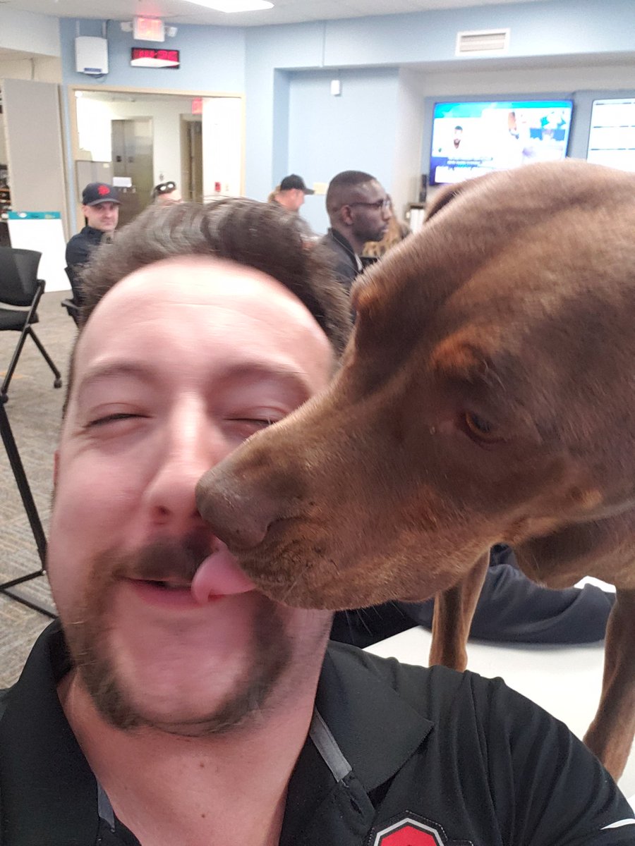 Brian Maier tweet media