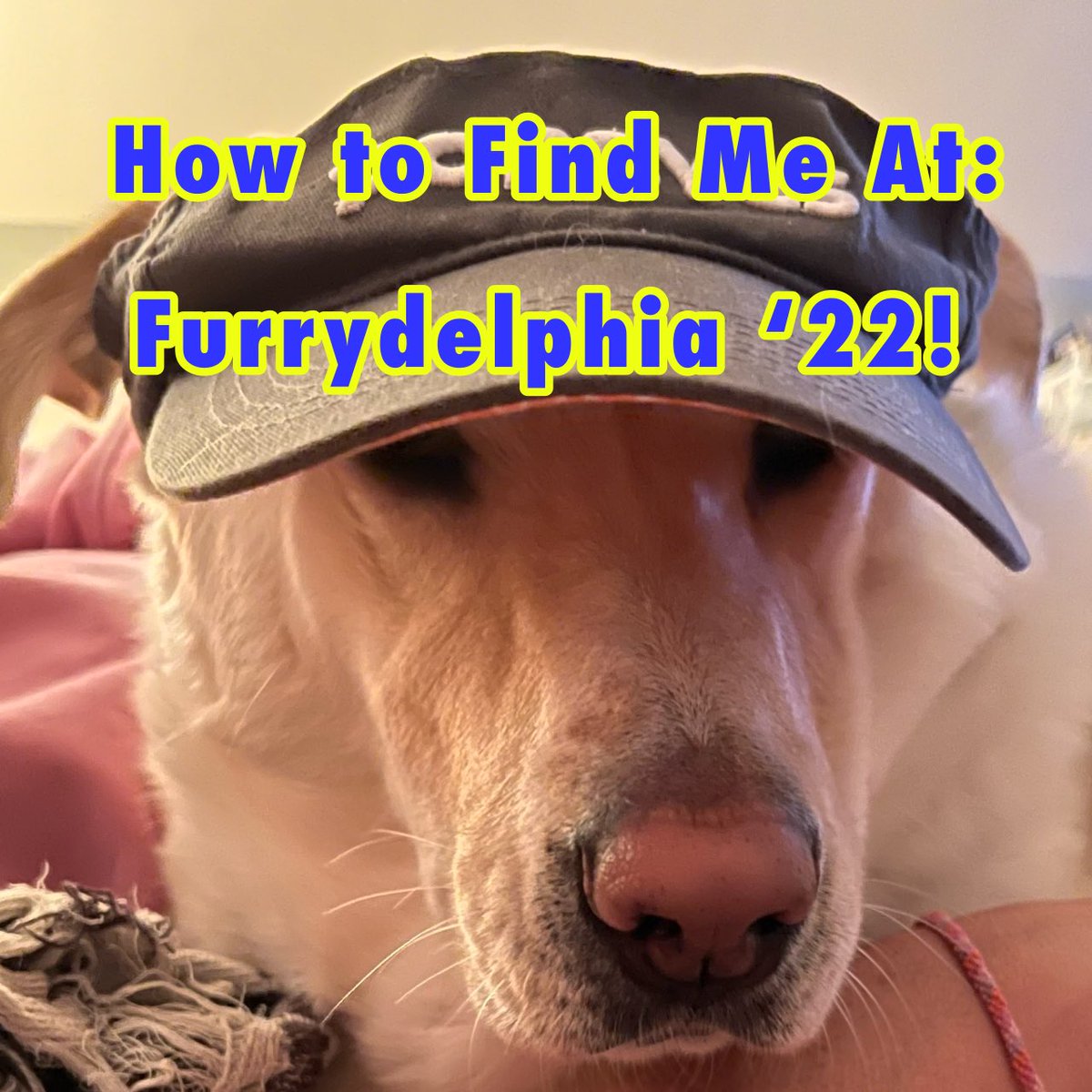 astridddragon's tweet photo. how to find me at #Furrydelphia #Furrydelphia2022 https://t.co/VVrzhiVkmz