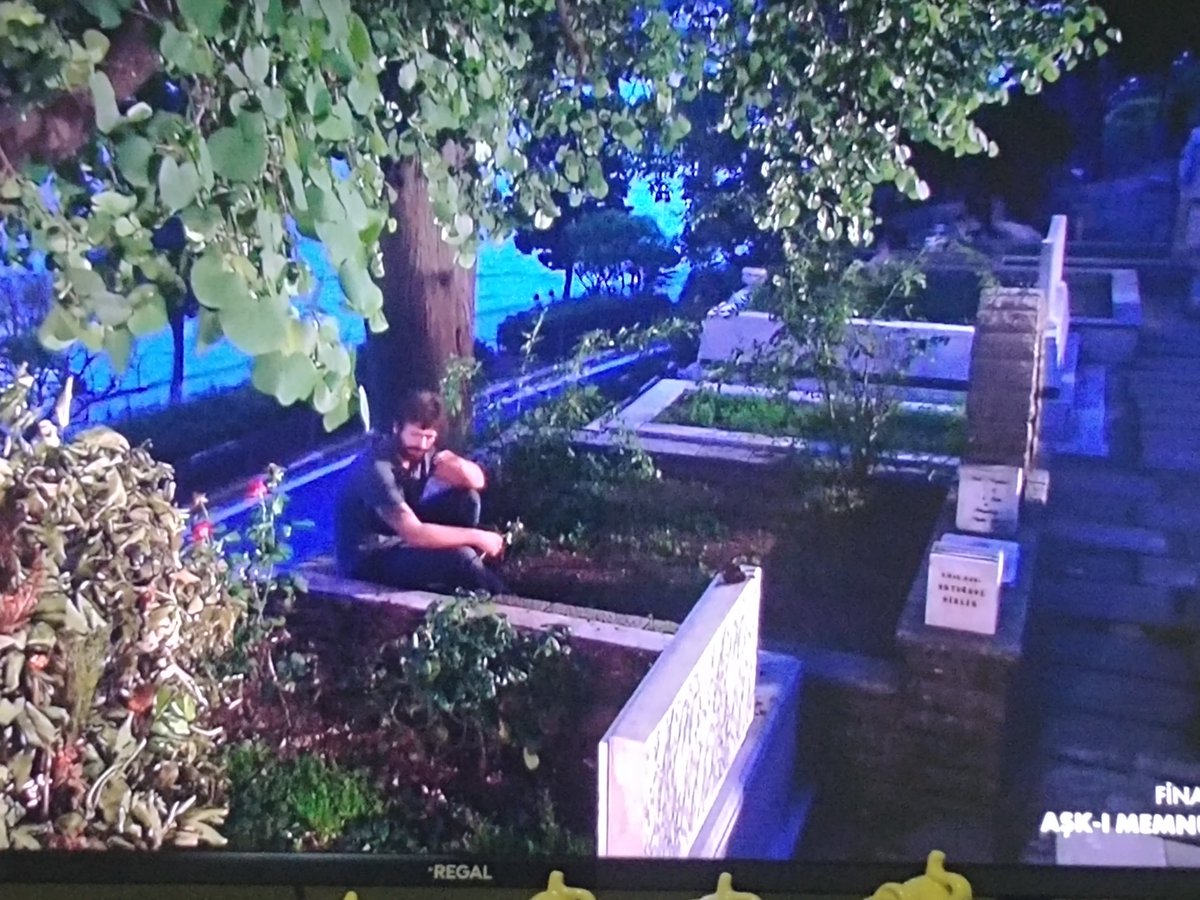 Seni seviyorum diyemeyen adam için değer miydi be #Bihter.. #askimemnu