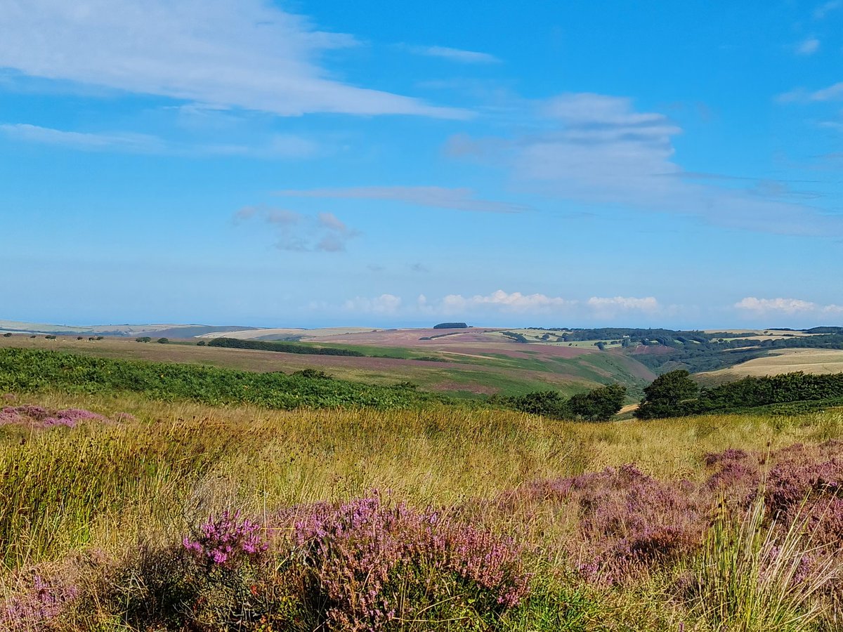 DanJamesENPA's tweet photo. Even when life is a bit more challenging #CommutingViews on #Exmoor continue to inspire... https://t.co/fg45iEDgNQ