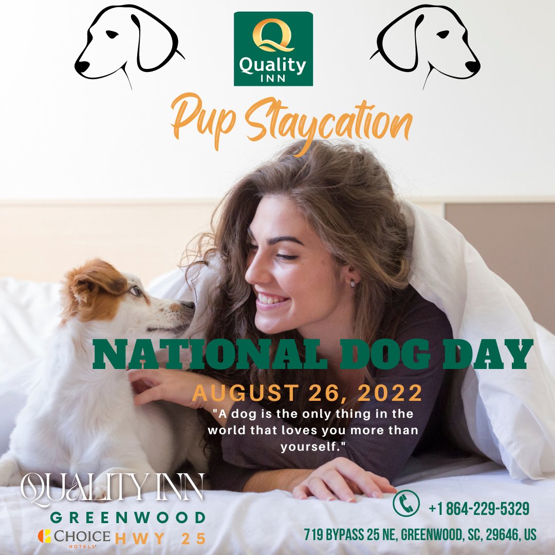 InnHwy's tweet photo. When staying in Quality Inn Greenwood Hwy 25 this weekend,  be sure to bring your dog with you! Yes, it's #NationalDogday tomorrow! Your pups deserve some rest and recreation too. 🐾 Terms and conditions apply. 

#QualityInn #choicehotels #GreenwoodSC #hotels #petfriendlyhotel https://t.co/omp7VL3GnK