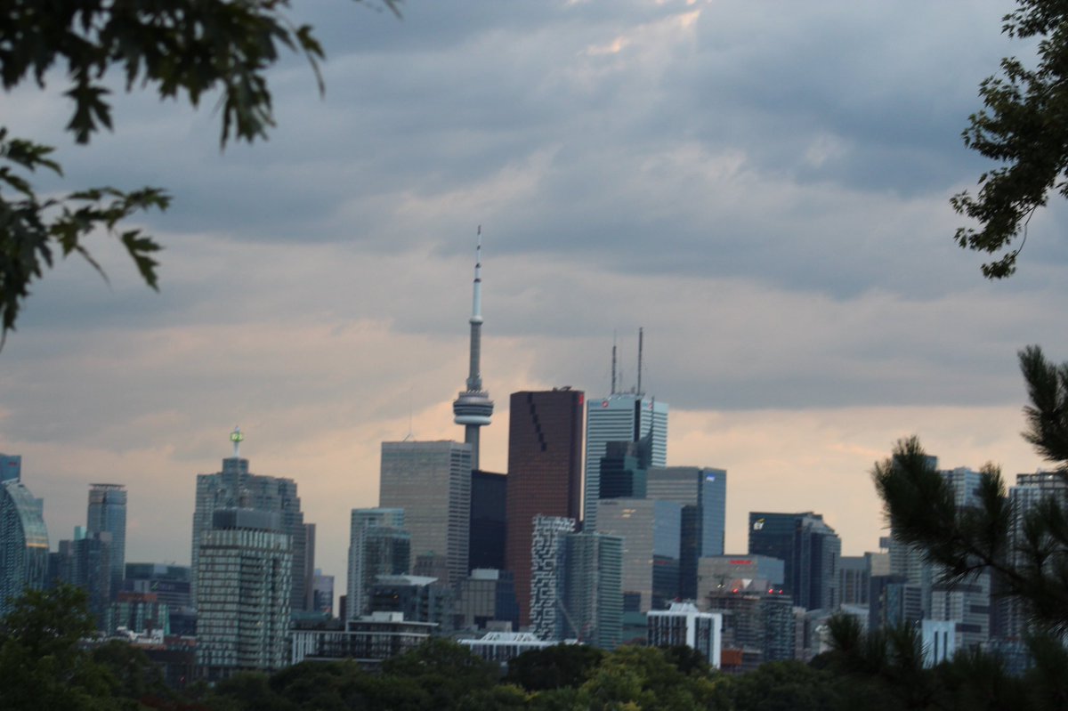 Meja|梅贾🇸🇸🇰🇪🇨🇦 tweet media