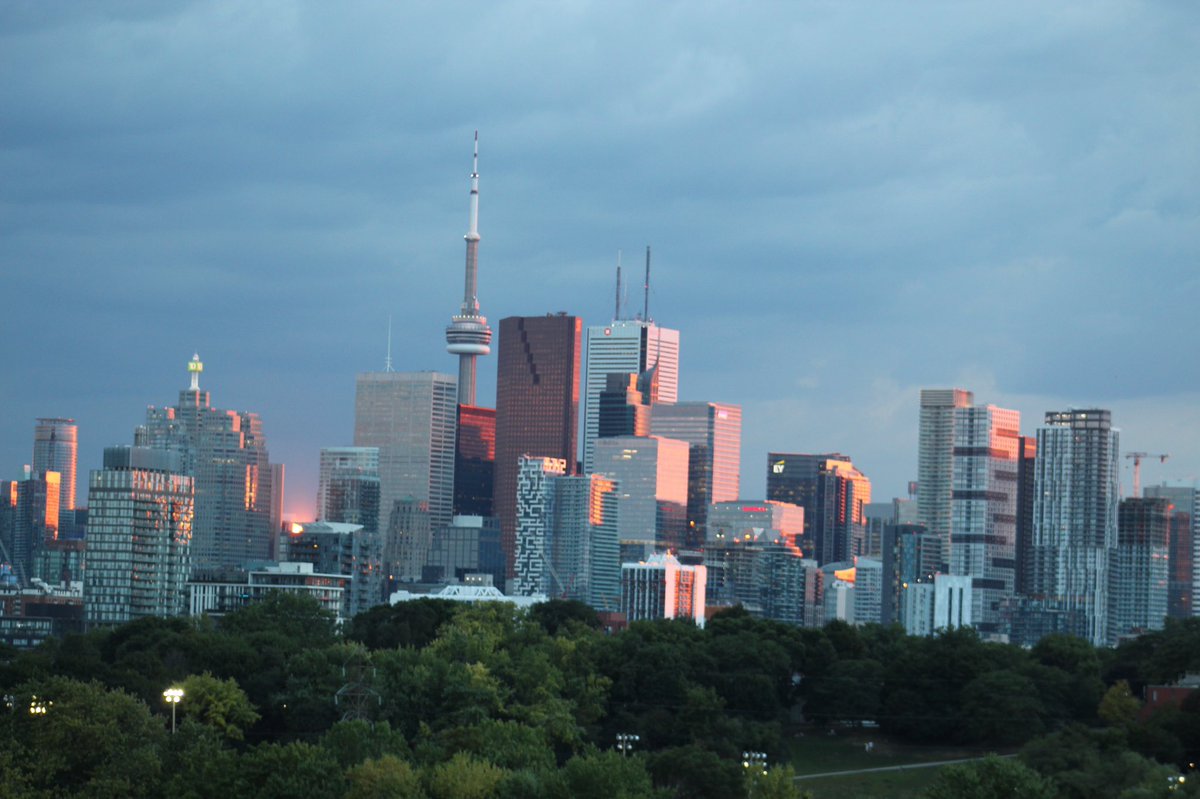 Meja|梅贾🇸🇸🇰🇪🇨🇦 tweet media