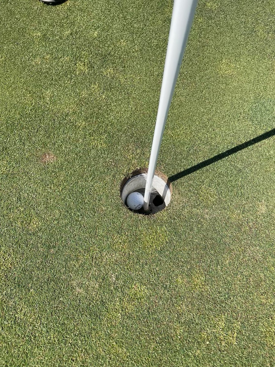 theantivegan's tweet photo. Bottch is good at curling AND golf! #holeinone #manofmanytalents @SpartanControls @BottcherCurling https://t.co/6MFP6oFGSL