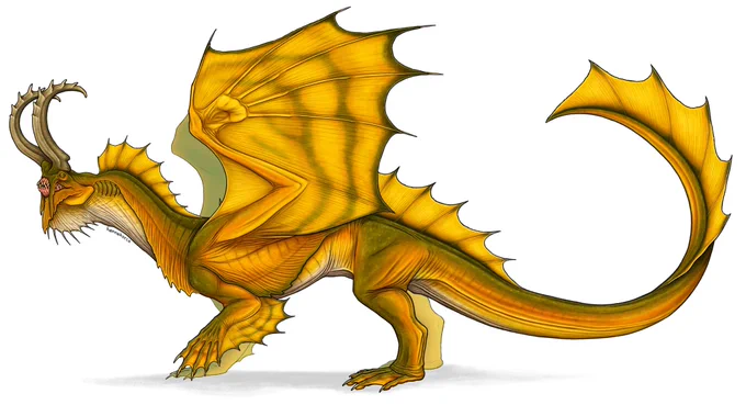 Working on a dragon book  