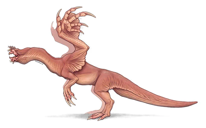 Working on a dragon book  