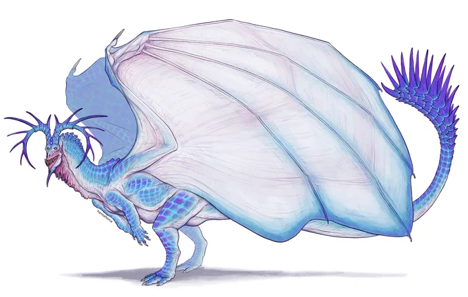 Working on a dragon book  