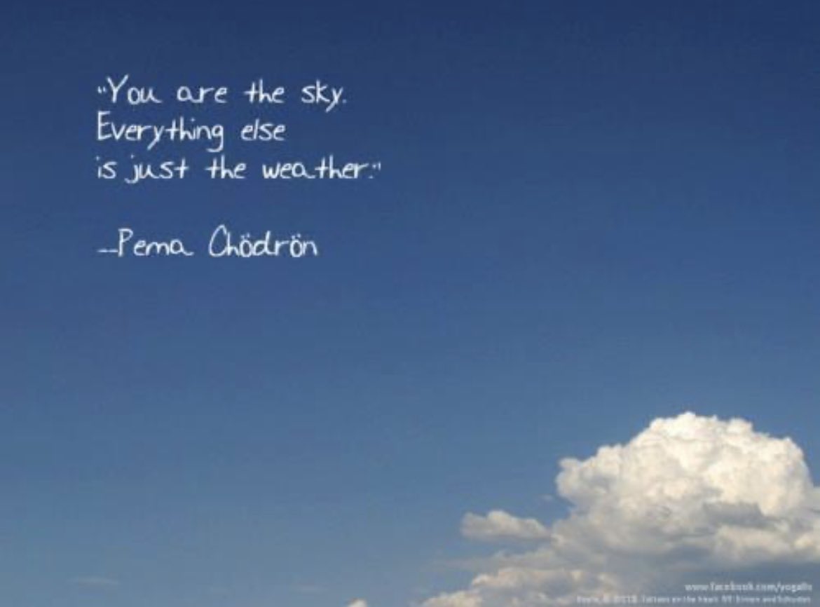 Sandy Morris tweet media