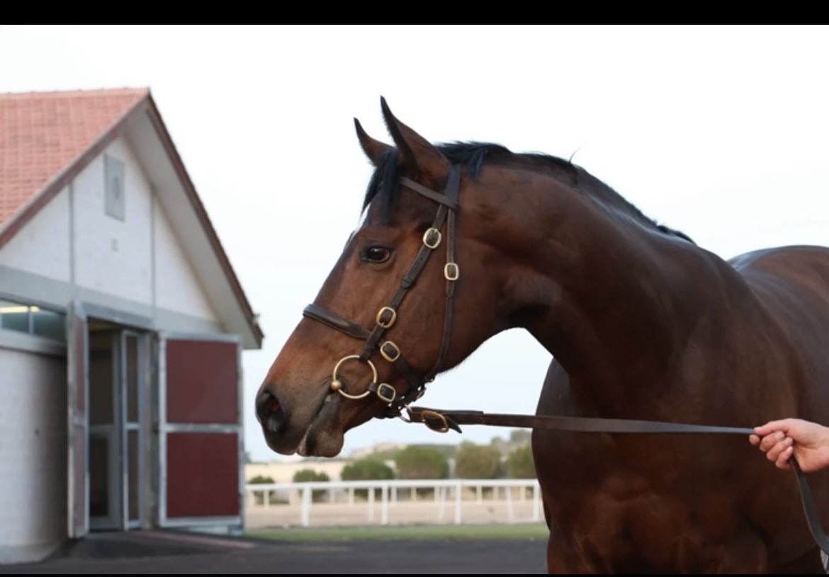 katiemcgiv's tweet photo. Impressive hands and heels win from Derryconnor 2yo graduate Zaman Jemil @NewcastleRaces for @RogerCharlton . Sold at the @Goffs1866 Dubai breeze up sale. Well done to all connections. #teamD #alwaysadude #winnerwinner https://t.co/mL8w2WK3My