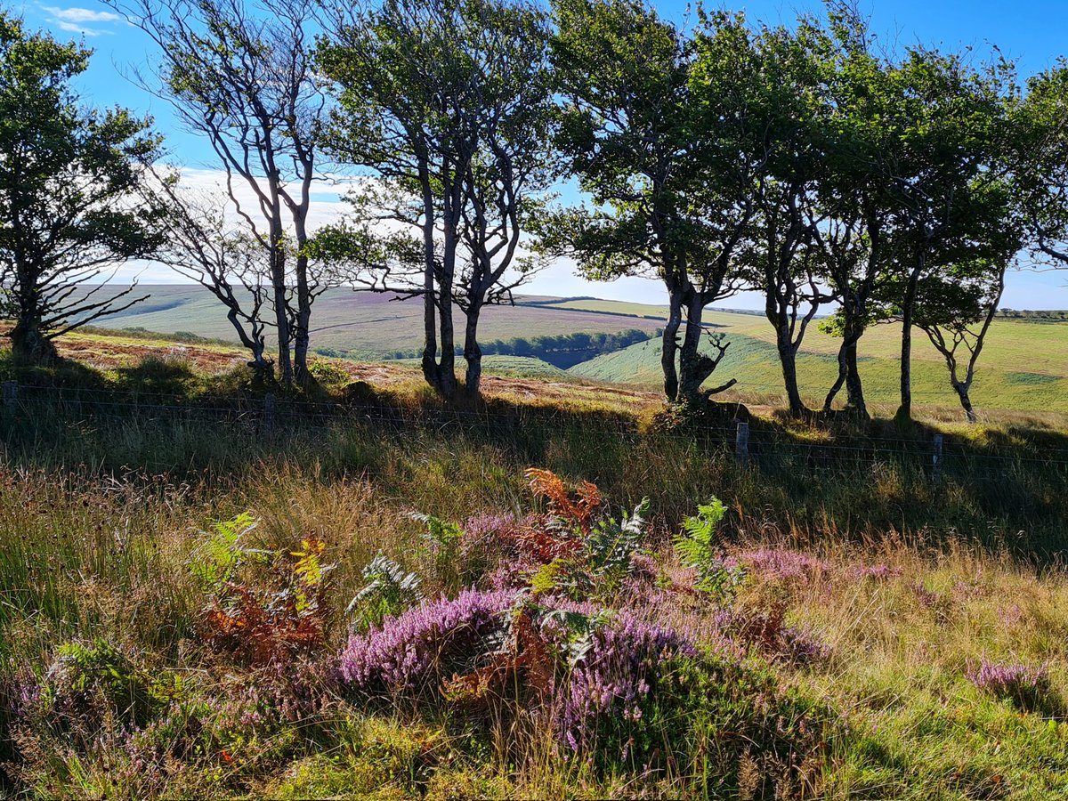 DanJamesENPA's tweet photo. Even when life is a bit more challenging #CommutingViews on #Exmoor continue to inspire... https://t.co/fg45iEDgNQ