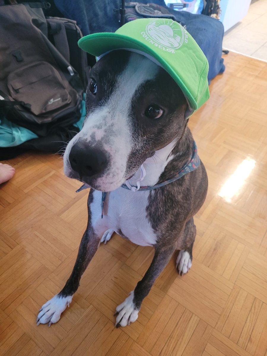 Jess_ikaChew's tweet photo. @CBC Good Afternoon, my name is Kenai and I am a Wilderness Explorer in Tribe 54. Sweat Lodge 12. Are you in need of any assistance today sir? https://t.co/Lw9hbmcthR