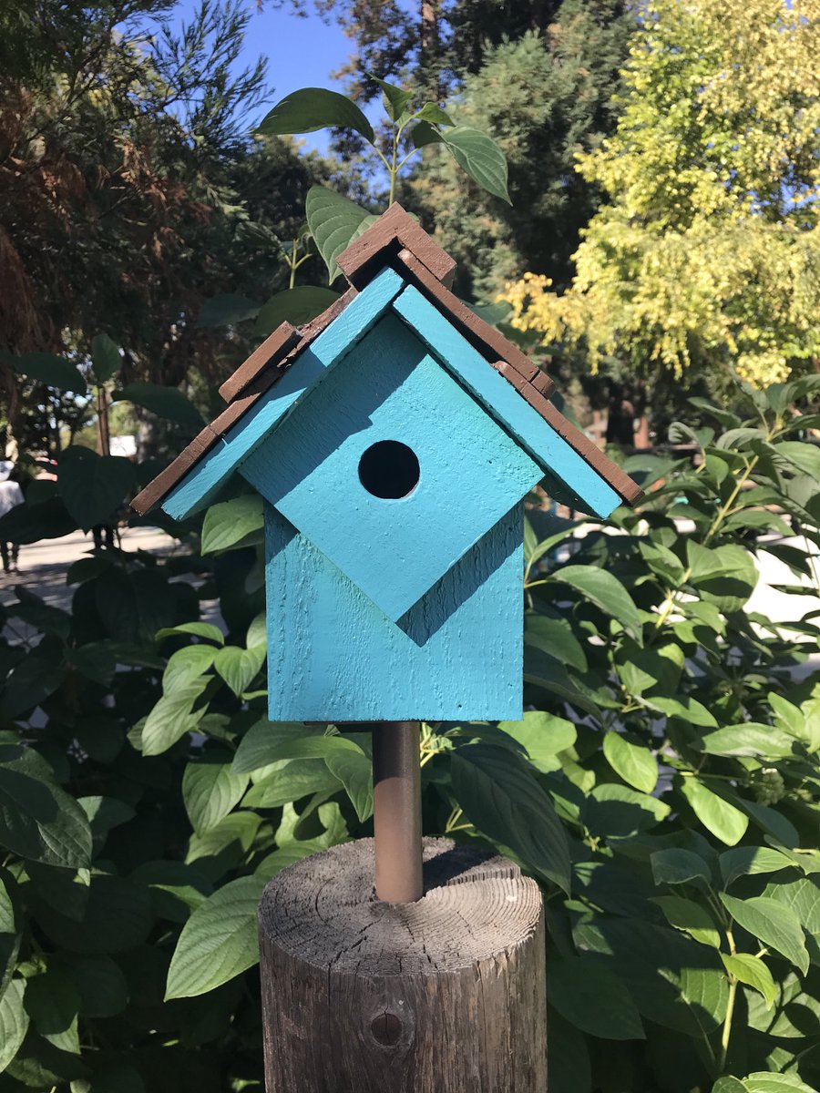 CeciliaQuick's tweet photo. If it’s last Thursday of the month, it’s free early entry at my favorite park, #HappyHollow #HHPZ https://t.co/VYdkvLOzlQ