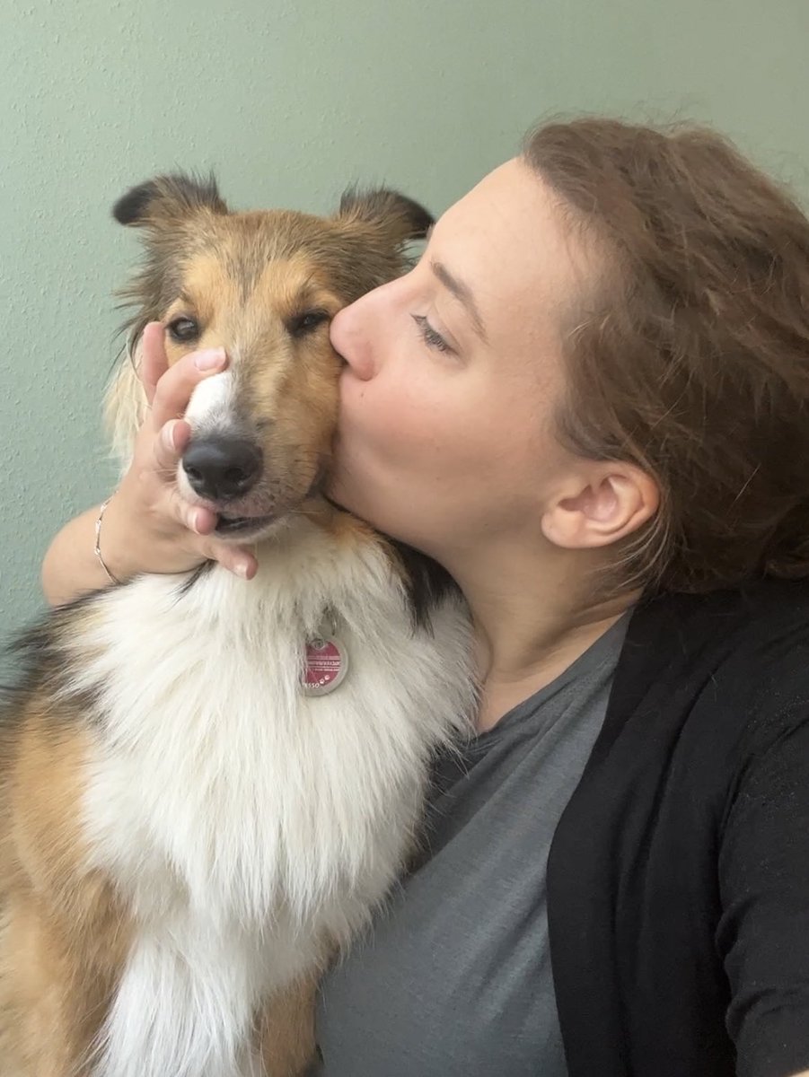 Smettbo85's tweet photo. Wenn Muddi einen wieder voll peinlich in der Öffentlichkeit abknutscht 🤭
#SheltieLilly #Ohnee #Hundekuss https://t.co/YxlMhufUWG
