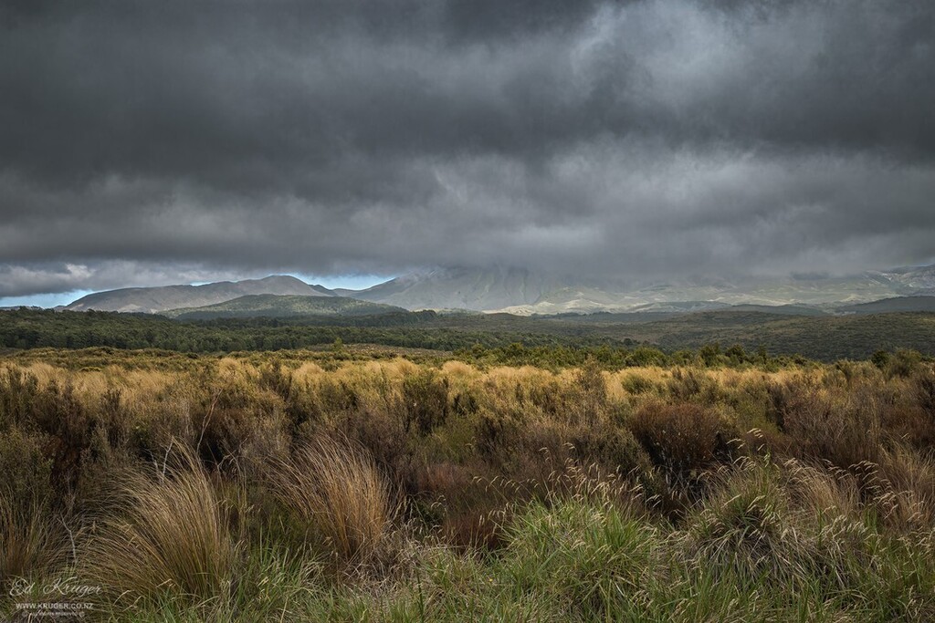 Ed_Kruger's tweet photo. Low clouds over Rangipo Desert, New Zealand
#edkruger #ed_kruger #travelphotograpy #newzealand #nz #northisland #northislandnz #rangipodesert #clouds #lowclouds #desert #storm #sky #newzealandsky #landscape #landscapephotography https://t.co/4fGgoKQg8F https://t.co/rrqpmtwzAP