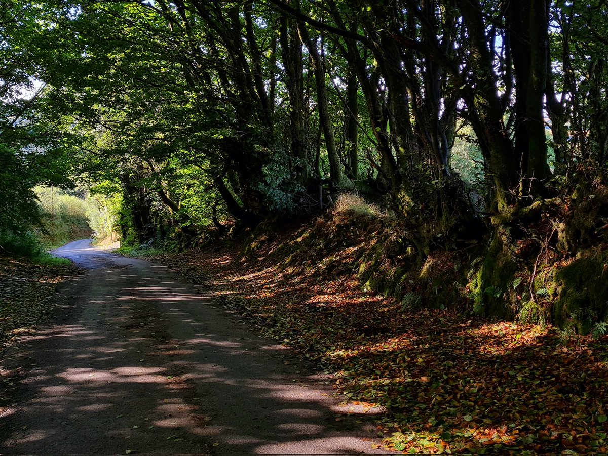 DanJamesENPA's tweet photo. Even when life is a bit more challenging #CommutingViews on #Exmoor continue to inspire... https://t.co/fg45iEDgNQ