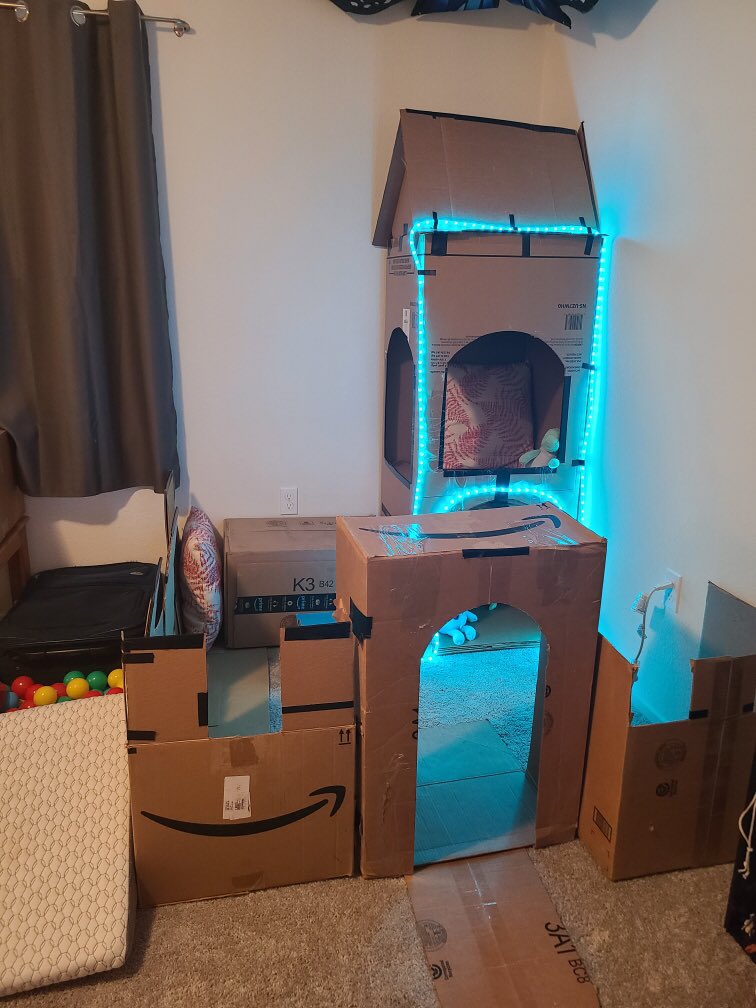 DannyBarnts's tweet photo. How do you like my @amazon princess castle for my daughter? It turned out well and its her new favorite place. #ReuseRecycle https://t.co/4sk2jFjjkm