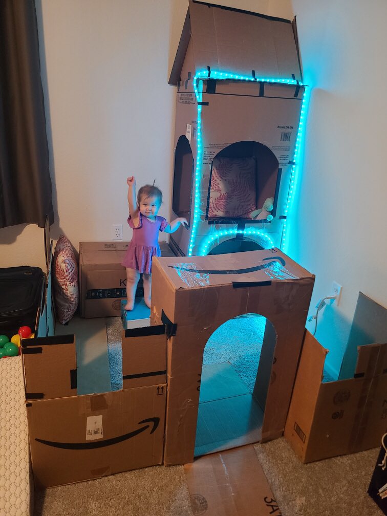 DannyBarnts's tweet photo. How do you like my @amazon princess castle for my daughter? It turned out well and its her new favorite place. #ReuseRecycle https://t.co/4sk2jFjjkm