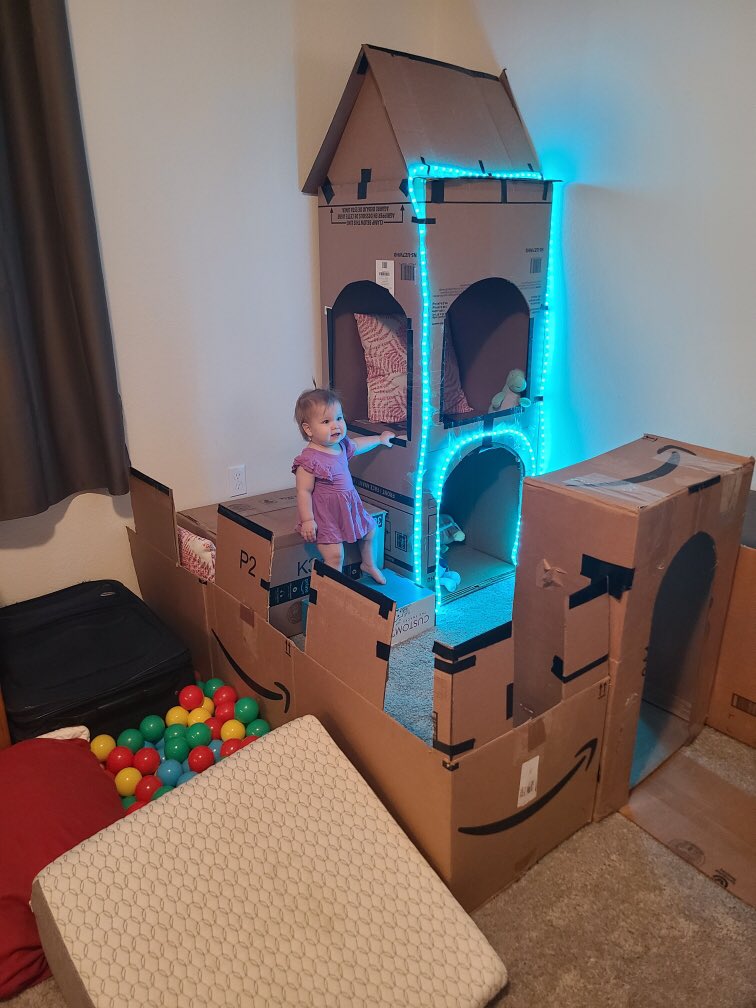 DannyBarnts's tweet photo. How do you like my @amazon princess castle for my daughter? It turned out well and its her new favorite place. #ReuseRecycle https://t.co/4sk2jFjjkm
