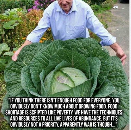 GetThisBreadA's tweet photo. #foodIsFree https://t.co/LtFLogiXIA