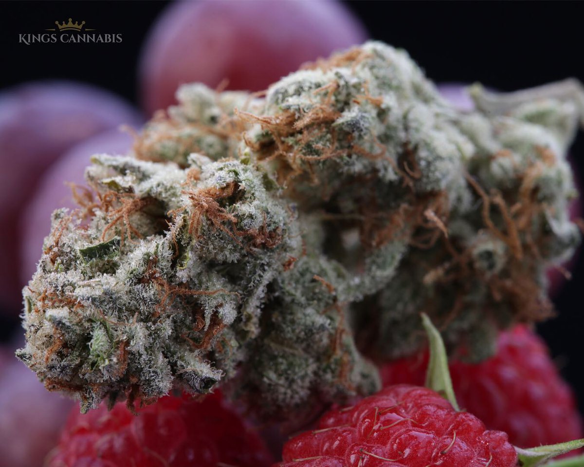 Jef_web3X's tweet photo. Today received my #Dankpack i won in a #Giveaway @degen_bot_cc Mint in one month LFGπ₯π₯ #NFTCommunity #MetaCypherGang #IRL #DBCC #SolanaNFTs @chief_kief_OG @chiefskngdmKCMO @southbaymoose @mii_nikita @Brutusgoingins1 @DannyGrein @PegasusNFT @ImNumberWon420 @sharksfan13 https://t.co/2nZqnSyjZZ