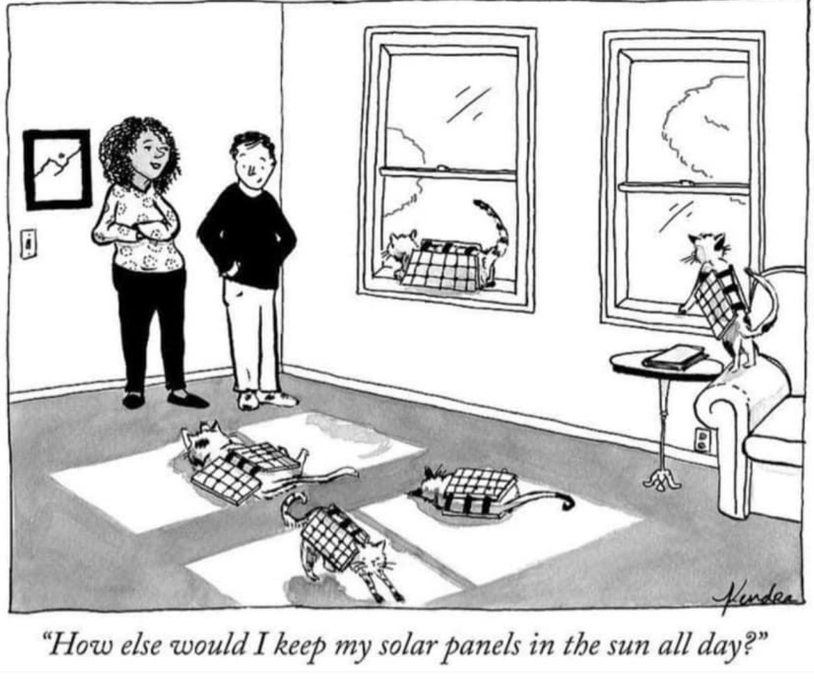 ObstriN's tweet image. #nft #NFTCommunity #NFTs 
#NFTGiveaway #NFTartist #nftart #NFTdrops  #NFTdrop #nftswiss #opensea #nftfamily #nftsale #nftcollector #nftworld #nftnext #NFTProjects