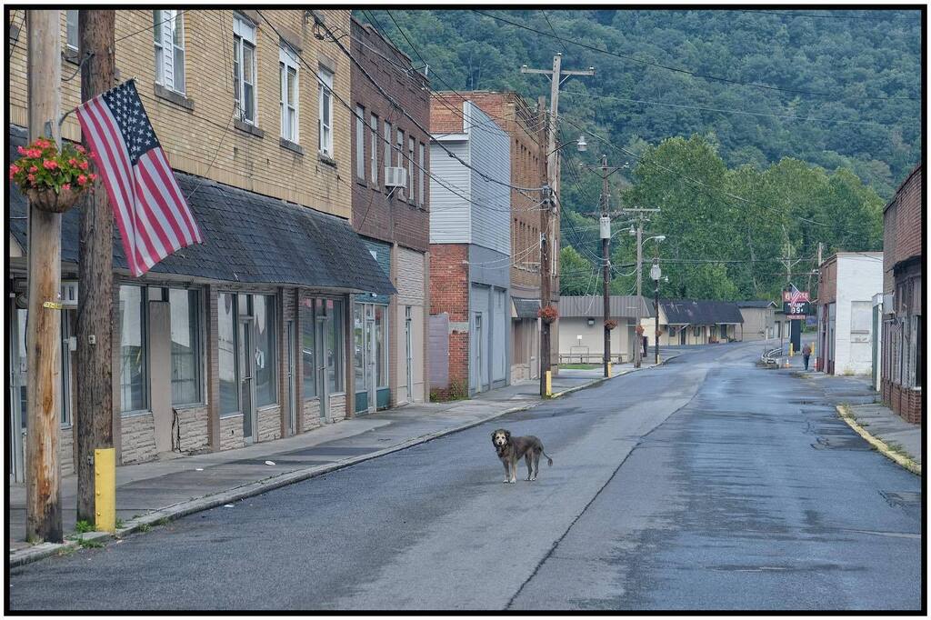 rick gerrity tweet media