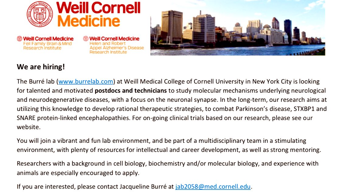 Virginia Gao (@virginia_gao) on Twitter photo 📣 Apply to join us in the Burré lab in NYC for exciting bench-to-bedside work on the synapse in neurological disease <a href="/WCM_BMRI/">WCM Brain and Mind Research Institute</a> <a href="/WCMPostdocs/">WCMPostdocs</a> 📣 Apply to join us in the Burré lab in NYC for exciting bench-to-bedside work on the synapse in neurological disease <a href="/WCM_BMRI/">WCM Brain and Mind Research Institute</a> <a href="/WCMPostdocs/">WCMPostdocs</a>
