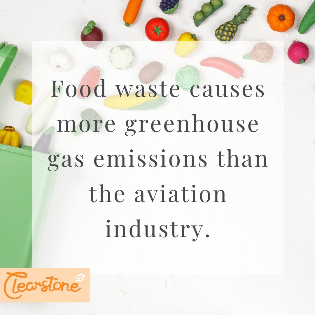 Food waste is seriously damaging our environment, but there are ways you can help!

Always check the best before dates on your food, and you can even prolong the life of your food by using eco-friendly, reusable packaging to keep food such as bread fresh for longer 🍞