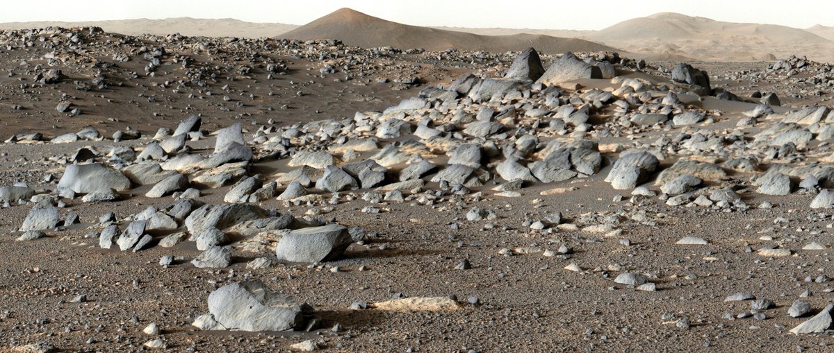 NASAPersevere's tweet photo. I came to the ancient lakebed of Jezero Crater expecting lots of sedimentary rocks. I see them now at the old river delta, but the crater floor was a surprise: lots of volcanic rocks. 🪨

Now my science team’s sharing some of what they’ve pieced together: https://t.co/HO0zRMue4h https://t.co/z8ZOwqRPGG
