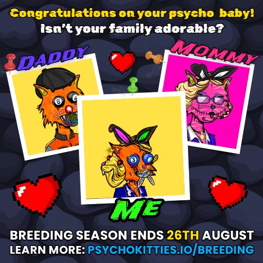dario_guttadoro's tweet photo. My @psychokittiesOG and PsychoMolly did it like they do on the Discovery Channel and got freaky in my wallet 😏 Now I have a PSYCHO BABY 😺 #PsychoKittyBaby #Ugonzo #cryptocomnft #NFT #psychokitties #Crypto #nftcollectors #NFTcollectible #elrealgenius https://t.co/HlXEppV1lj