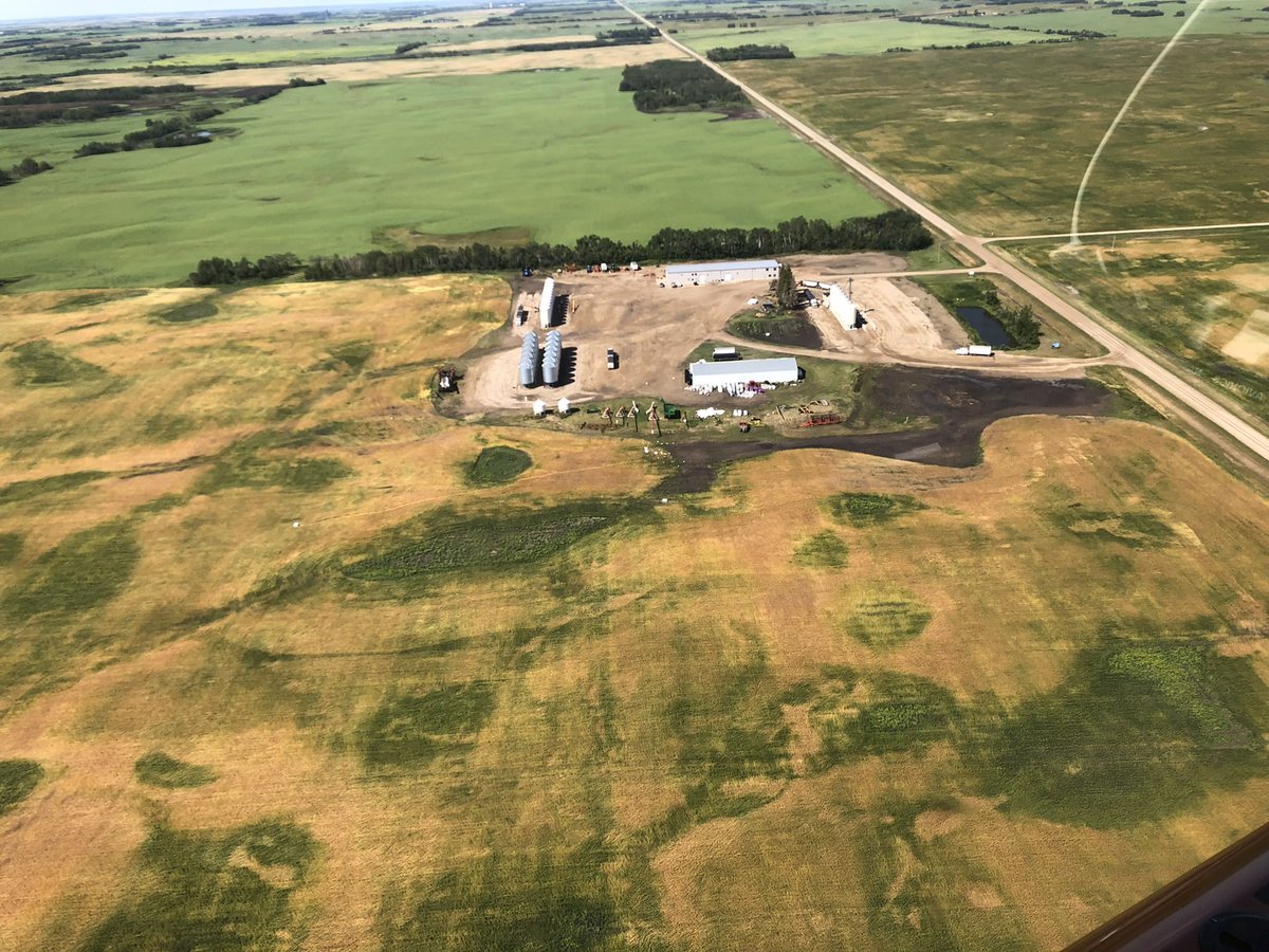 kenzieseeds's tweet photo. ￼Another growing season is coming to and end, it’s been an interesting adventure. Good luck to all of you in the field bringing in the food that feeds the world …. stay safe and may your machinery stay running and Mother Nature stay calm. https://t.co/Kxh9RavRsm