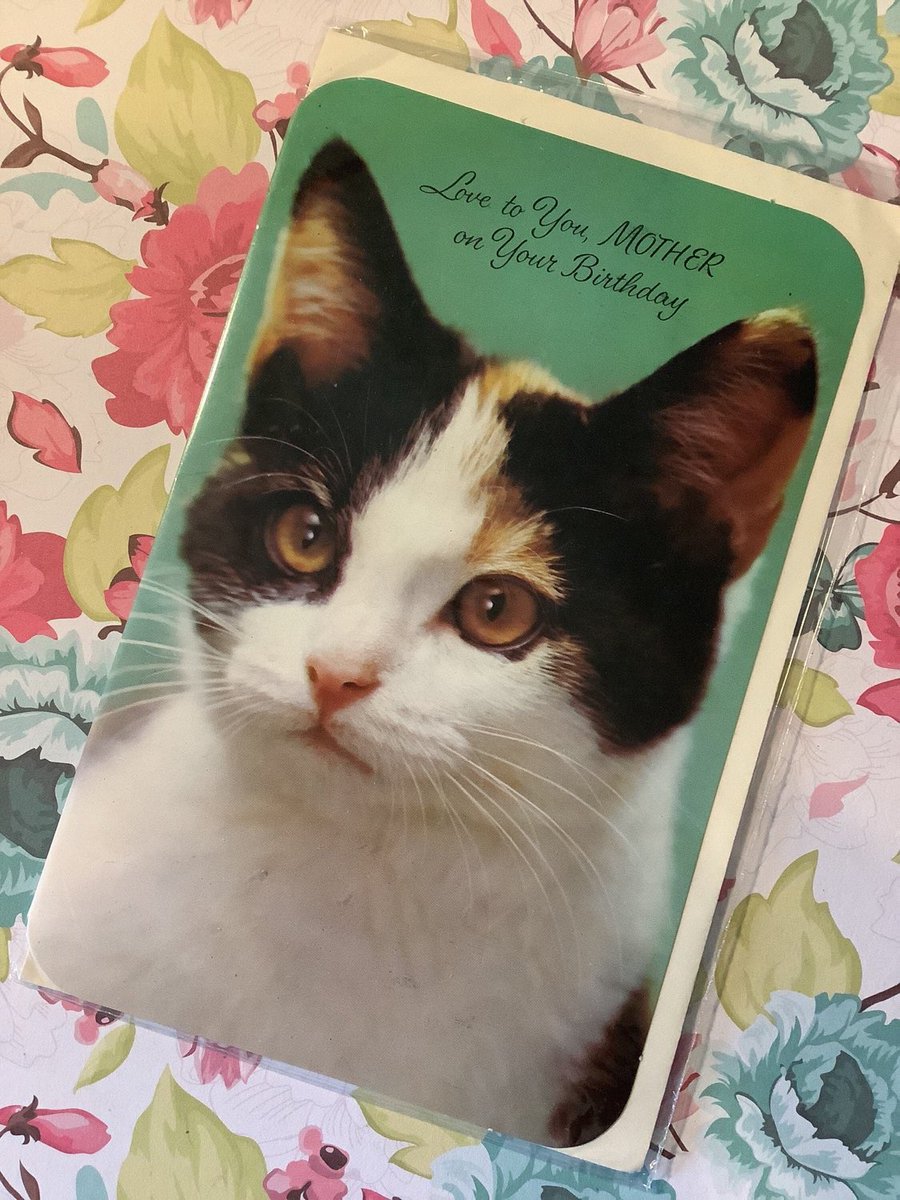 WatsonsVintage's tweet photo. I only have ONE of these ADORABLE Cards available in my #etsyshop Extremely Rare Vintage Circa 1950s ‘Love to You, Mother on Your Birthday’ Sweet Cat Photo Card -Sentimental Verse #RaphaelTuckCard https://t.co/LZpAP8R3ST #Rare #Vintage #1950s #MotherBirthdayCard #CatPhotoCard https://t.co/438totAxzI
