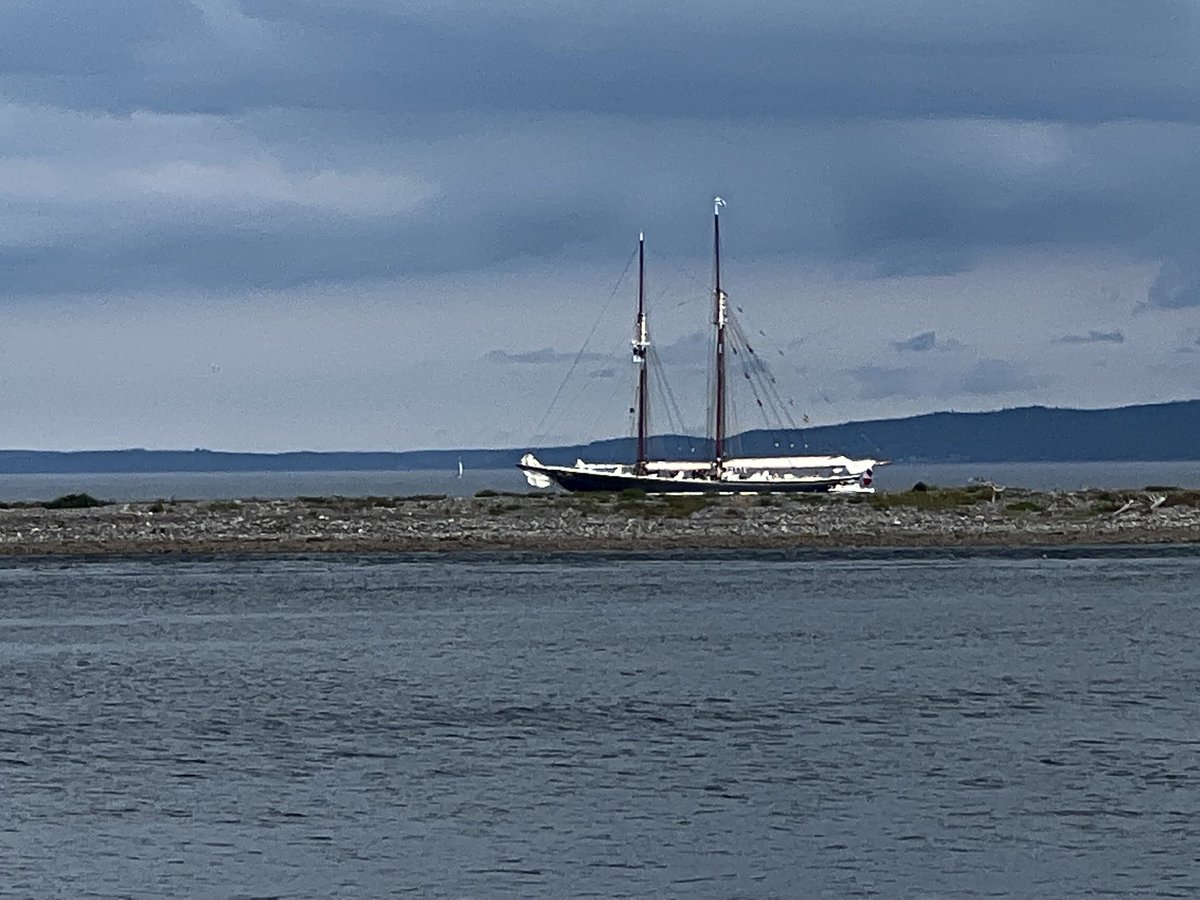 The ⁦<a href="/SailBluenoseII/">Bluenose II</a>⁩ at the mouth of Guysborough Harbour.